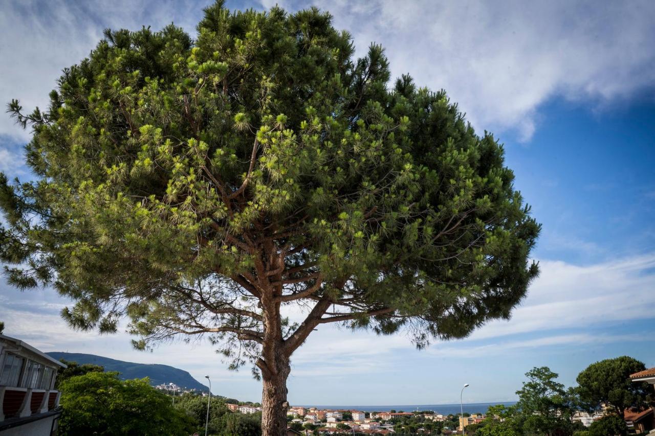 Апарт отель Balconi Del Conero Нумана Экстерьер фото